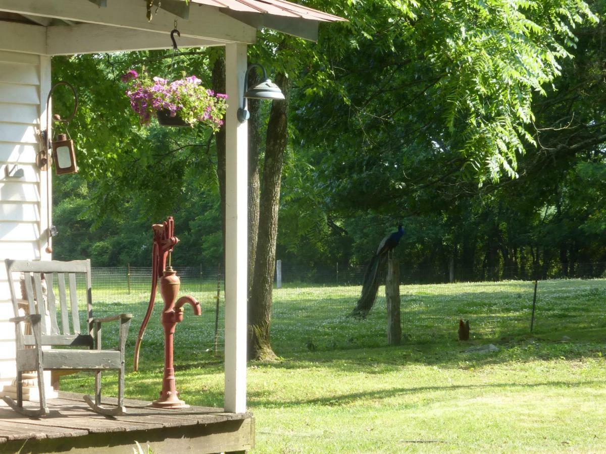 Mulberry Lavender Farm And B&B מראה חיצוני תמונה