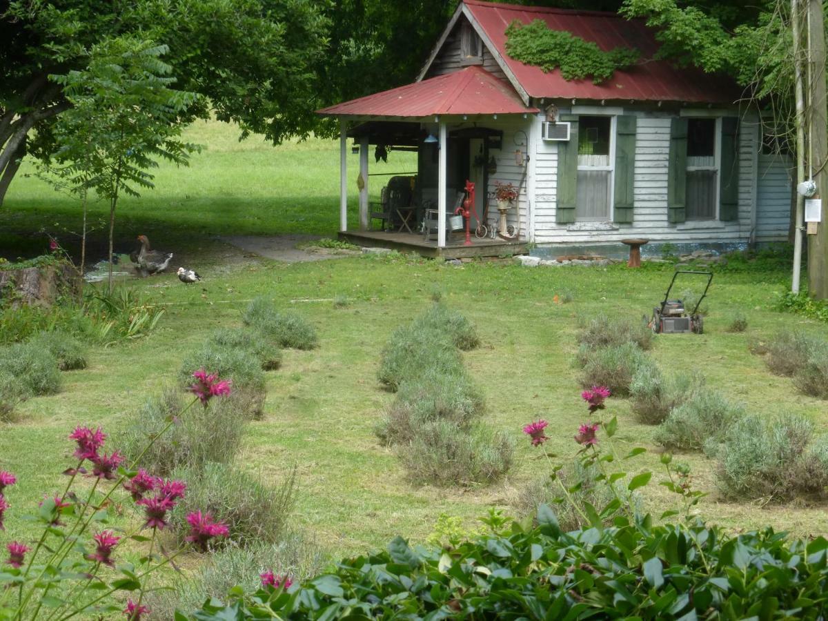 Mulberry Lavender Farm And B&B מראה חיצוני תמונה