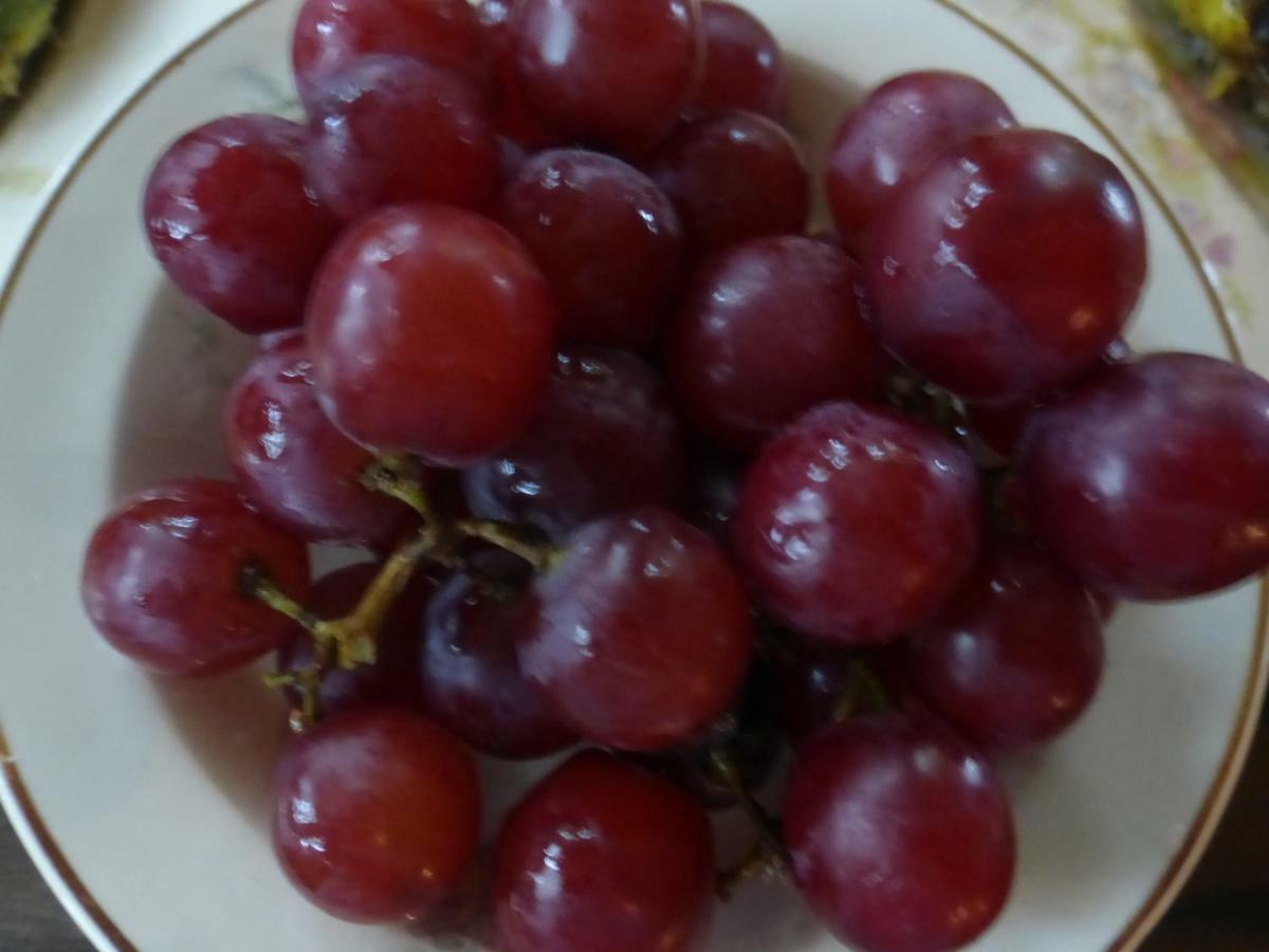 Mulberry Lavender Farm And B&B מראה חיצוני תמונה